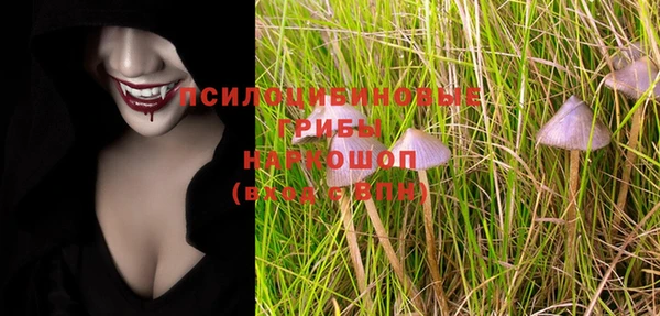 бошки Пролетарск