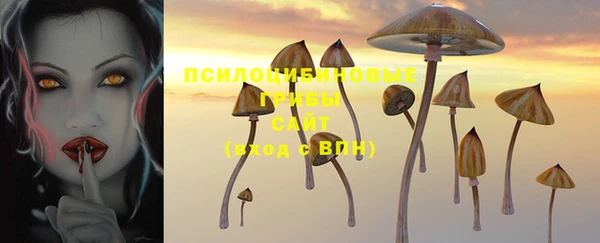 PSILOCYBIN Абаза