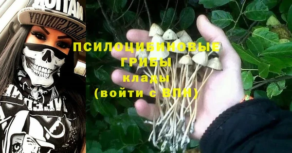 PSILOCYBIN Абаза