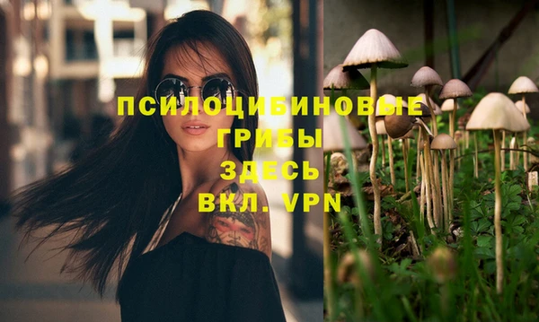 PSILOCYBIN Абаза
