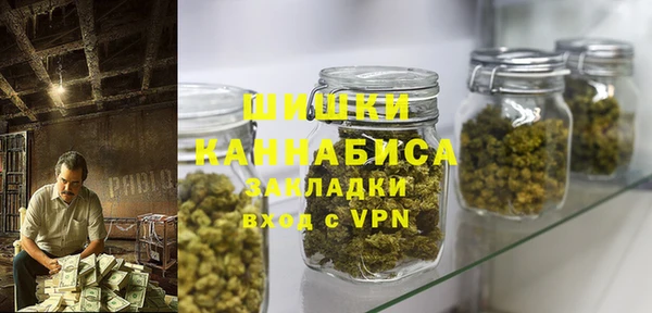 PSILOCYBIN Абаза