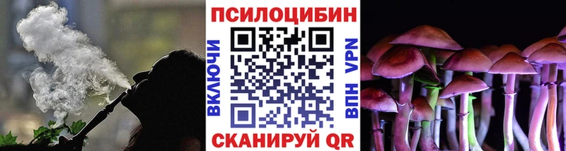 закладки Стрежевой Галлюциногенные грибы MAGIC MUSHROOMS