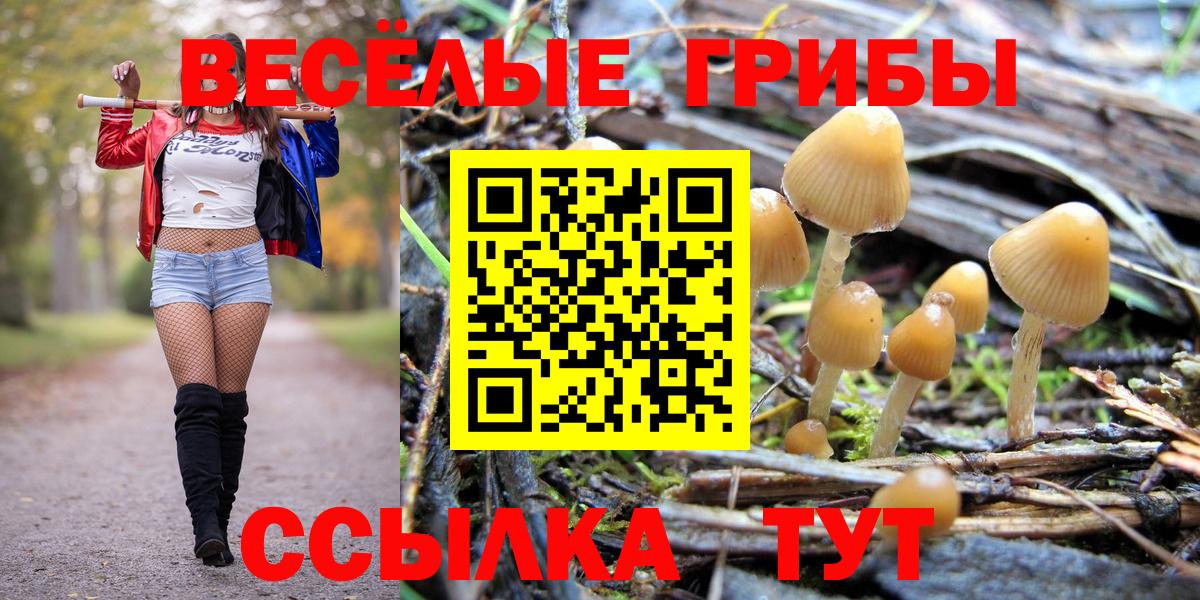 Галлюциногенные грибы GOLDEN TEACHER  Вход с VPN  магазин продажи   Стрежевой 