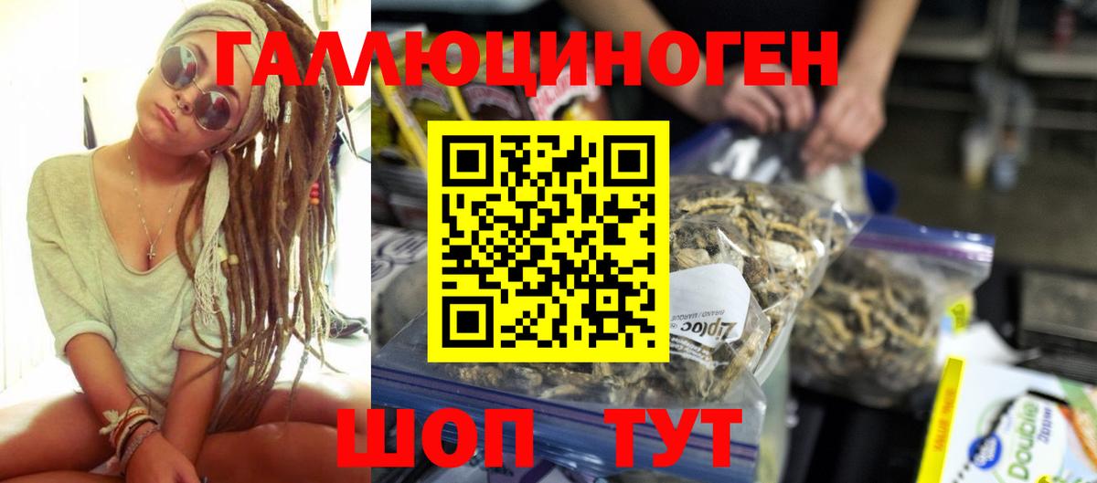 Псилоцибиновые грибы прущие грибы Стрежевой